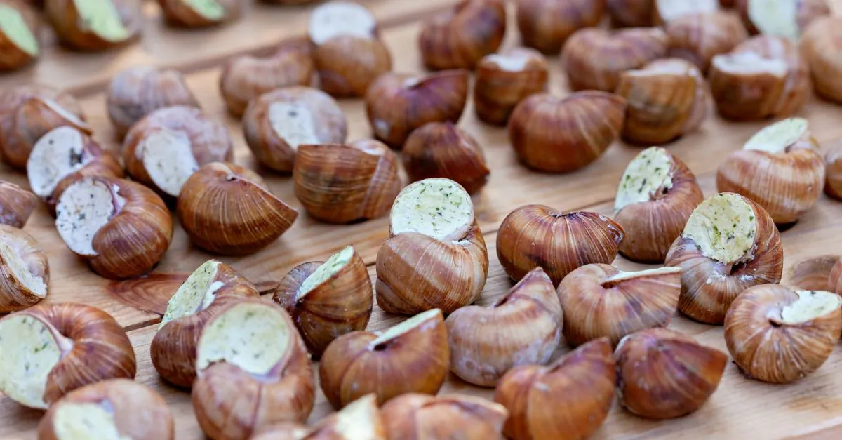 Šnečí produkty – co se z hlemýžďů vyrábí