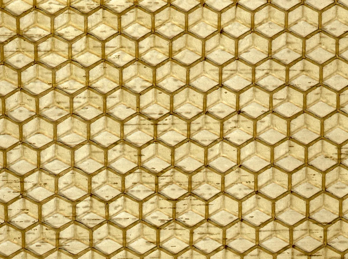 Węza